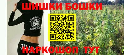 индика Заволжье