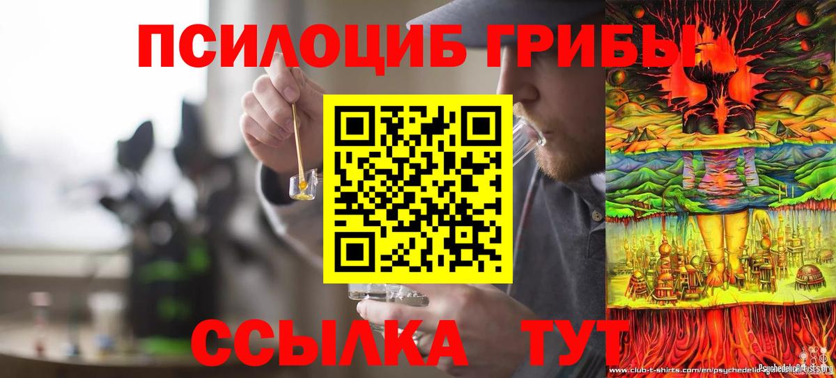 Псилоцибиновые грибы мицелий Луга