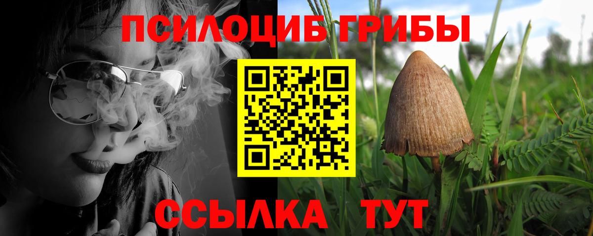 Луга  Галлюциногенные грибы прущие грибы  купить наркоту  Вход с VPN  Галлюциногенные грибы MAGIC MUSHROOMS 